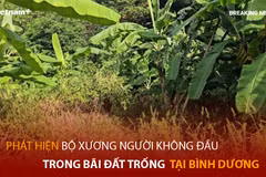 Bản tin 60s: Bộ GD-ĐT đề nghị xử lý hành vi xuyên tạc SGK