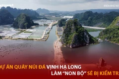 Dự án quây núi đá vịnh Hạ Long làm 'hòn non bộ' sẽ bị kiểm tra