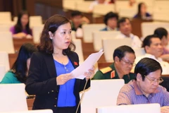 Đại biểu Quốc hội tỉnh Điện Biên Vi Thị Hương phát biểu ý kiến. (Ảnh: Doãn Tấn/TTXVN)