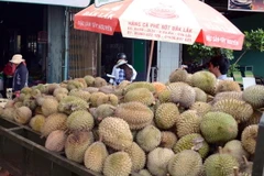 (Ảnh minh họa: Hưng Thịnh/TTXVN)