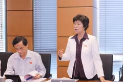 Đại biểu Quốc hội tỉnh Hưng Yên Cù Thị Hậu phát biểu ý kiến. (Ảnh: Phương Hoa/TTXVN)