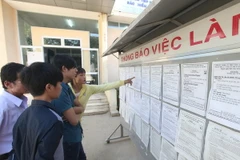 Các lao động tìm hiểu thông tin việc làm tại Trung tâm Dịch vụ việc làm tỉnh Thừa Thiên-Huế. (Ảnh: Anh Tuấn/TTXVN)