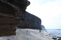 (Ảnh: Quý Trung/TTXVN)