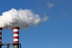 Ảnh minh họa. (Nguồn: Pixabay)