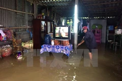Cảnh ngập lụt tại Quảng Điền, Thừa Thiên-Huế. (Ảnh: TTXVN)