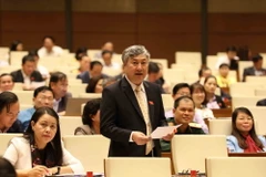 Đại biểu Quốc hội tỉnh Bắc Giang Trần Văn Lâm phát biểu ý kiến. (Ảnh: Phương Hoa/TTXVN)