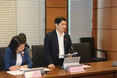 Đại biểu Quốc hội tỉnh Nam Định Trương Anh Tuấn phát biểu ý kiến. (Ảnh: Phương Hoa/TTXVN)