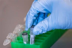 Ảnh minh họa. (Nguồn: TTXVN)