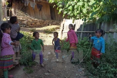 Học sinh vùng cao. (Nguồn: TTXVN)