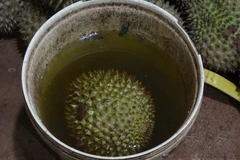 Ảnh minh họa. (Nguồn: TTXVN)