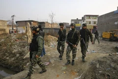 Binh sỹ Ấn Độ tuần tra. (Nguồn: THX/TTXVN)