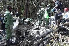 Ảnh minh họa. (Nguồn: AFP/TTXVN)