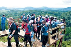 Khách du lịch trên đảo Cheju. (Nguồn: Yonhap)