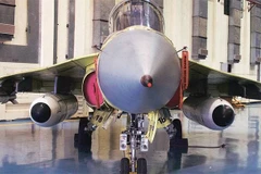 Máy bay chiến đấu hạng nhẹ Tejas do Ấn Độ tự sản xuất. (Ảnh: indiatoday)