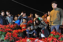 Chợ Viềng là phiên chợ mua may, bán rủi, chỉ diễn ra 1 lần trong năm vào đêm mùng 7, sáng mùng 8 tháng Giêng âm lịch hàng năm, tại Nam Định. (Ảnh: TTXVN)