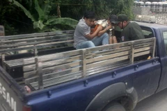 Ảnh minh họa. (Ảnh: TTXVN)