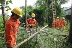 [Video] Hà Nội sử dụng máy móc chuyên dụng vào việc cắt tỉa cây
