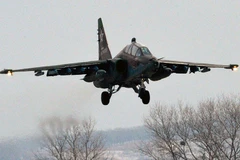 Một máy bay chiến đấu Su-25 của Không quân Nga. (Nguồn: Sputnik)
