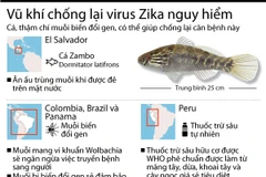 [Infographics] Điểm mặt những vũ khí chủ lực chống virus Zika