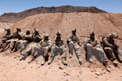 Ảnh minh họa. (Nguồn: AFP/TTXVN)