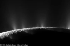 Luồng hơi nước được phun ra từ một đại dương nằm dưới bề mặt mặt trăng Enceladus của sao Thổ. (Nguồn: NASA)