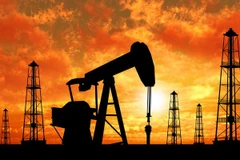 Ảnh minh họa. (Nguồn: wortfm.org)