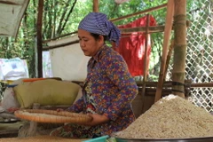 Lễ hội Ok Om Bok hay còn gọi là lễ Cúng Trăng, tục "Đút Cốm dẹp" của đồng bào Khmer tại Sóc Trăng được tiến hành vào rằm tháng 10 âm lịch hàng năm. (Ảnh: Chanh Đa/TTXVN)