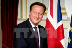 Thủ tướng Anh David Cameron. (Nguồn: THX/TTXVN)