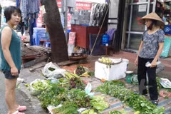 (Ảnh: Vietnam+)