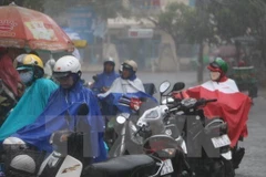 (Ảnh minh họa: Công Mạo/TTXVN)