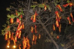 Cây ven đường bỗng bị "phủ" đỏ bởi những băng rôn quảng cáo lạ đời (Ảnh: Sơn Bách/Vietnam+)