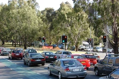 Samoa đổi luật đi xe từ bên phải sang bên trái