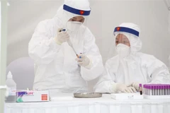 Lấy mẫu xét nghiệm nhanh SARS-CoV-2. (Ảnh: Minh Quyết/TTXVN)