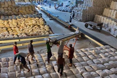 Ảnh minh họa. (Ảnh: TTXVN) 