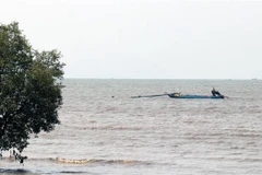 Ảnh minh họa. (Ảnh: Lê Huy Hải/TTXVN)