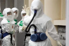 Nhân viên y tế điều trị cho bệnh nhân COVID-19 tại một bệnh viện ở Daegu, Hàn Quốc. (Ảnh: Yonhap/TTXVN)