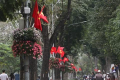 Cờ Tổ quốc, cờ Đảng được trang hoàng trên đường phố. (Ảnh: Thanh Tùng/TTXVN)