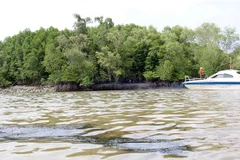 Xuất hiện nhiều vệt dầu loang trên sông Lòng Tàu sau vụ chìm tàu. (Ảnh: Tiến Lực/TTXVN)