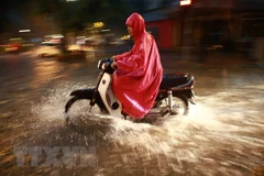 Ảnh minh họa. (Ảnh: Trọng Đạt/TTXVN)