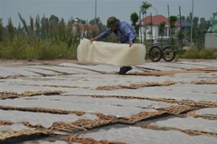 Bên cạnh những nhà đầu tư máy móc hiện đại, tại Làng nghề bánh đa Lộ Cương, vẫn còn nhiều gia đình sản xuất quy mô nhỏ với phương pháp truyền thống. (Ảnh: Mạnh Minh/TTXVN)
