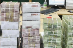 (Ảnh minh họa: TTXVN)