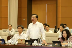 Bộ trưởng Bộ Tài chính Đinh Tiến Dũng phát biểu tại phiên họp. (Ảnh: Phương Hoa/TTXVN)