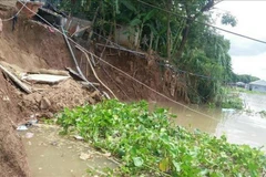 Khu vực sạt lở tại khu vực tổ 13 và 14 thuộc ấp Quốc Khánh - phía trên bến đò Cây Me, xã Quốc Thái huyện An Phú, tỉnh An Giang. (nh: Công Mạo/TTXVN)
