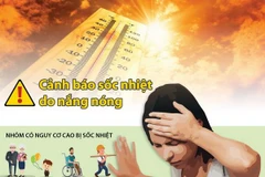 [Infographics] Cảnh báo sốc nhiệt do nắng nóng cao độ