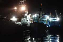 (Ảnh minh họa: Xuân Nguyên/TTXVN)