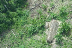 Nơi ở của bộ lạc Korubo trong khu bảo tồn Thung lũng Javari của Brazil, ngày 1/2 vừa qua. (Nguồn:FUNAI/Reuters)