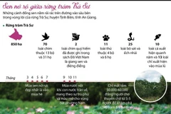 [Infographics] Mùa sen nở đẹp nhất giữa rừng tràm Trà Sư