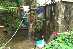 Người dân tự đầu tư mua ống dẫn nước từ các khe suối phục vụ nhu cầu sinh hoạt. (Ảnh: Thanh Hải/TTXVN)