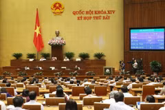 Quốc hội biểu quyết thông qua Luật Kiến trúc. (Ảnh: Doãn Tấn/TTXVN)