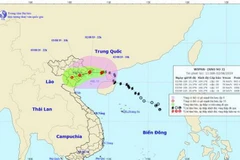 Chùm ảnh đường đi và vị trí cơn bão. (Nguồn: nchmf)